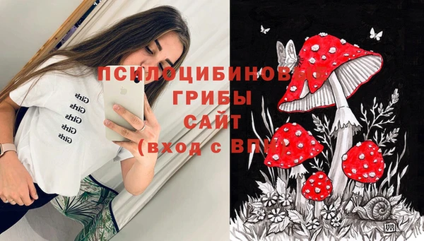 эйфоретик Армянск