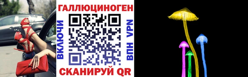 Галлюциногенные грибы MAGIC MUSHROOMS  где продают наркотики  Сретенск 